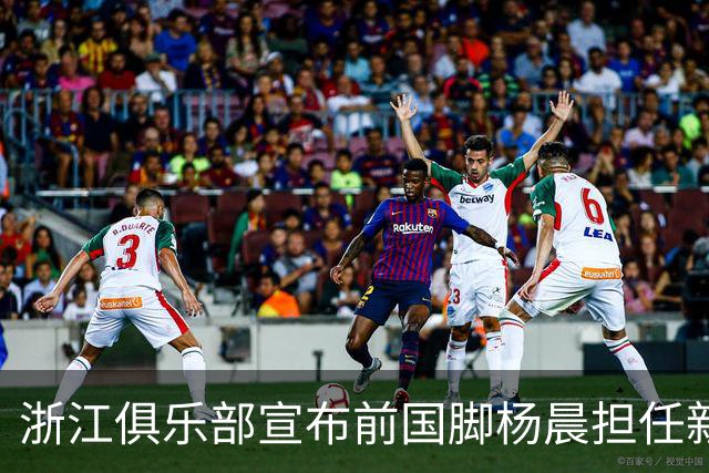 浙江俱乐部宣布前国脚杨晨担任新总经理，公示期为七天